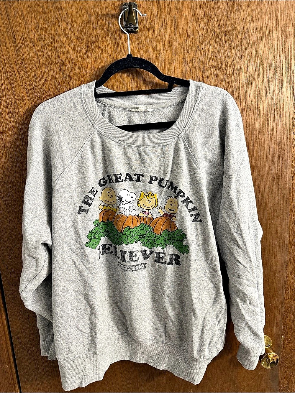 Maurices Peanuts The Great Pumpkin Believer Relaxed Fit Sweatshirt Gray & Green